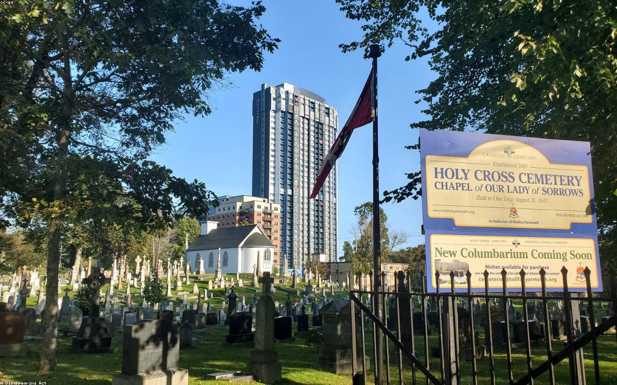 Galeri Unit Apartemen Tengah Kota